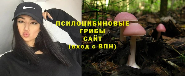 бутират Гусиноозёрск