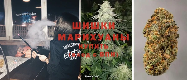 ГАЛЛЮЦИНОГЕННЫЕ ГРИБЫ Гусев