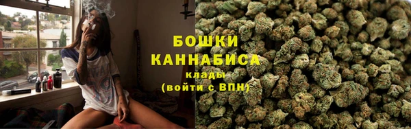 ГАЛЛЮЦИНОГЕННЫЕ ГРИБЫ Гусев
