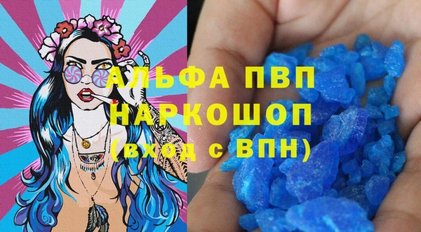 ГАЛЛЮЦИНОГЕННЫЕ ГРИБЫ Гусев