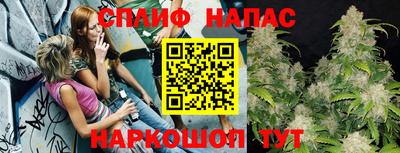скорость Дубна