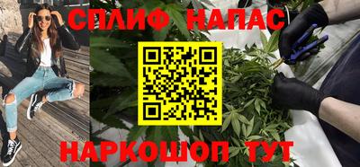 скорость Дубна