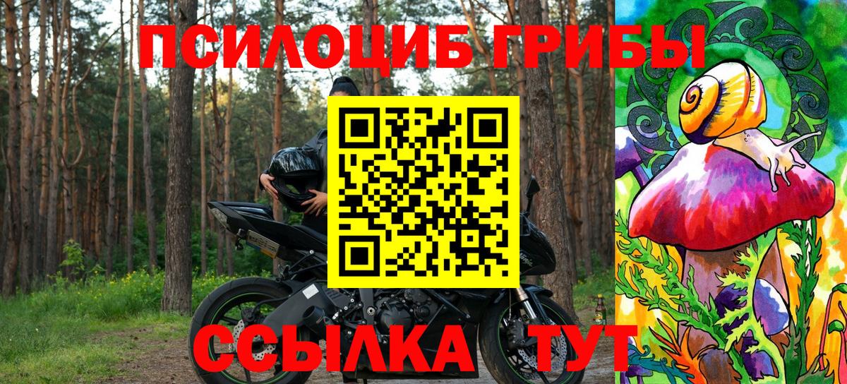 Псилоцибиновые грибы Psilocybine cubensis  Вход с VPN  Самара 